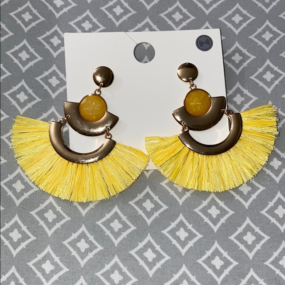 Forever 21 Fringe Tiered Drop Earrings